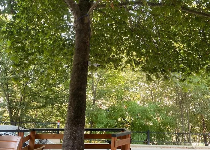 Apartament Stefanias Tirana